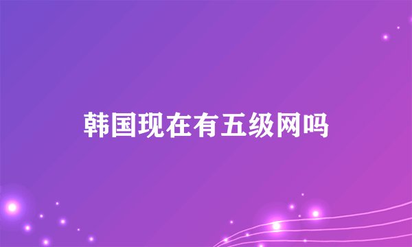 韩国现在有五级网吗