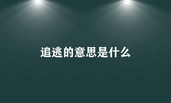 追逃的意思是什么