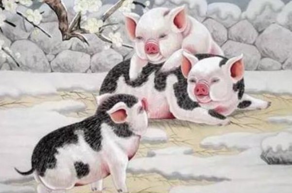 风云万变是指什么动物生肖