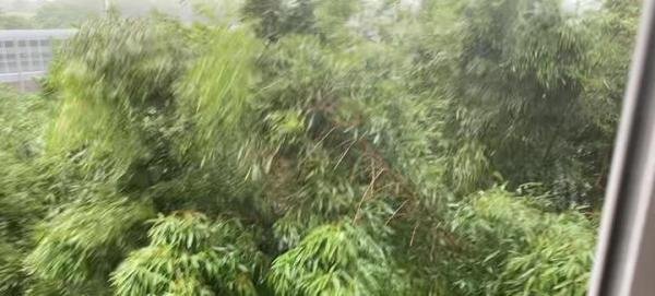 突发!台风贝碧嘉中午将进入苏州吴江,即将进入10级风圈!