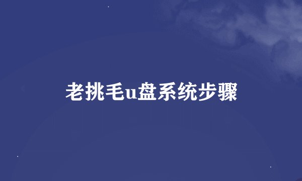 老挑毛u盘系统步骤