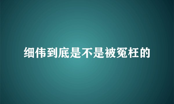 细伟到底是不是被冤枉的