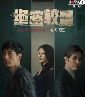 绝密较量赵亚宁的结局