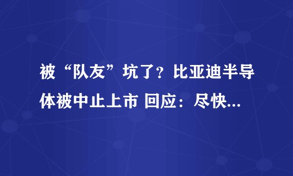 被“队友”坑了？比亚迪半导体被中止上市 回应：尽快推进复核
