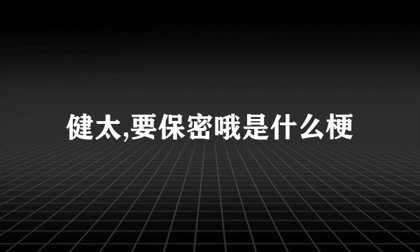 健太,要保密哦是什么梗