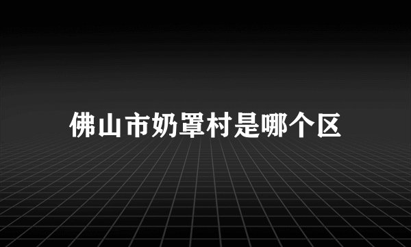 佛山市奶罩村是哪个区