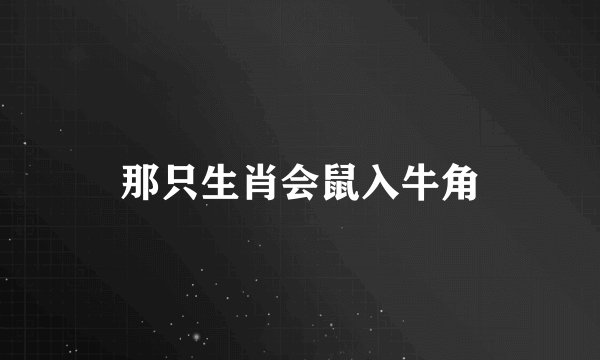那只生肖会鼠入牛角