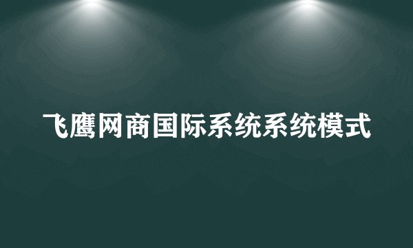 飞鹰网商国际系统系统模式