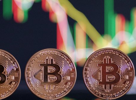 越南现ICO诈骗案涉案金额多大?