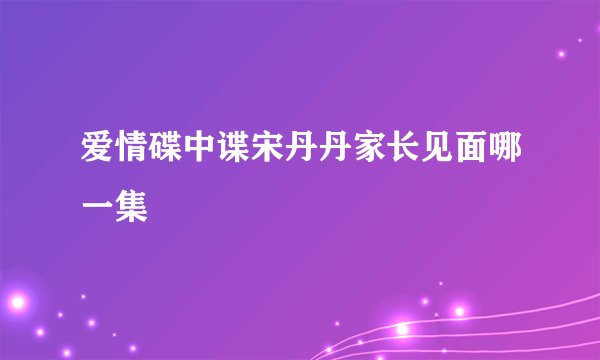 爱情碟中谍宋丹丹家长见面哪一集