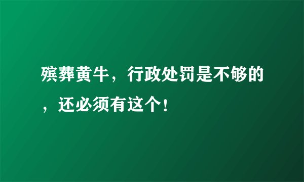 殡葬黄牛，行政处罚是不够的，还必须有这个！
