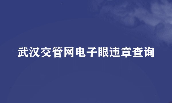 武汉交管网电子眼违章查询