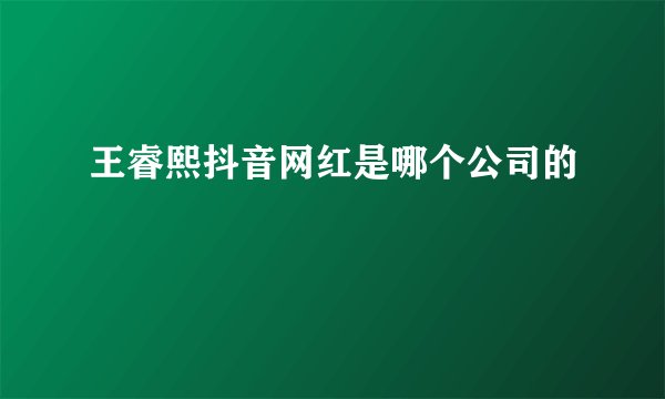 王睿熙抖音网红是哪个公司的
