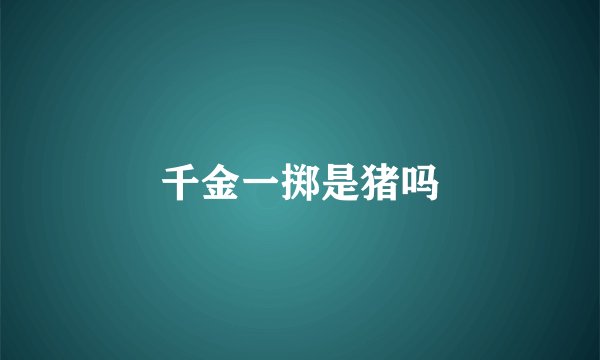 千金一掷是猪吗