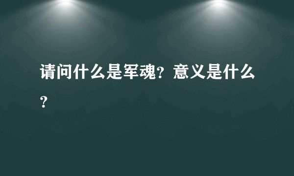 请问什么是军魂？意义是什么？