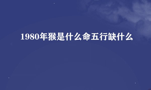 1980年猴是什么命五行缺什么