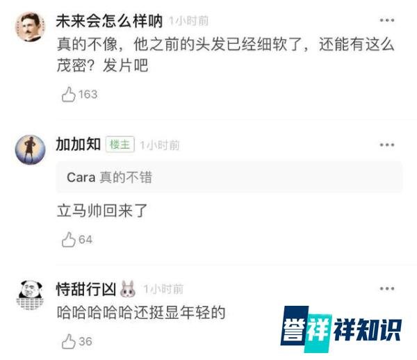阿尔法植发还是戴假发,网友的评论绝了?