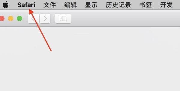 safari地址栏无法搜索怎么办?