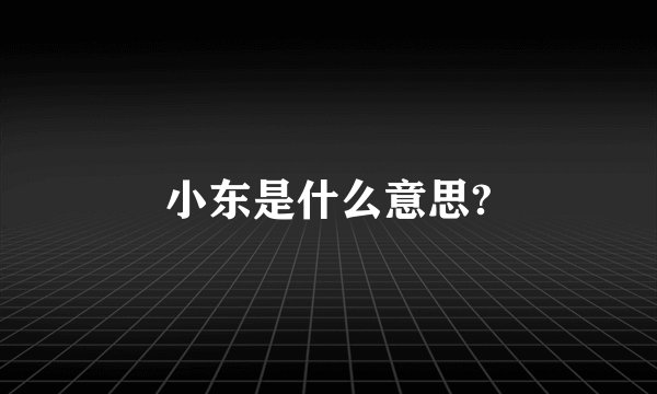 小东是什么意思?