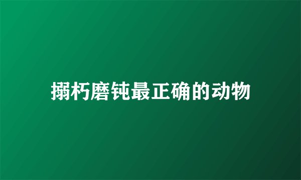 搦朽磨钝最正确的动物