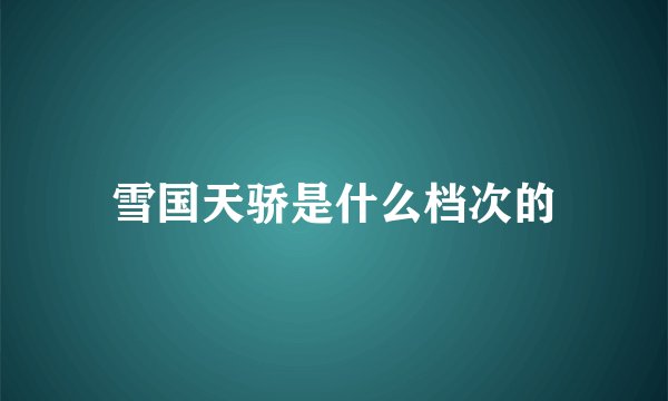 雪国天骄是什么档次的