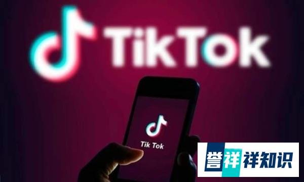 欧盟委员会禁止员工在工作设备上使用 TikTok