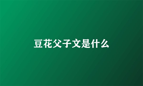 豆花父子文是什么