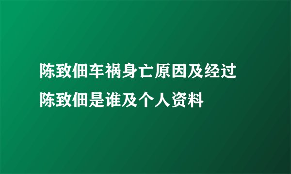 陈致佃车祸身亡原因及经过 陈致佃是谁及个人资料