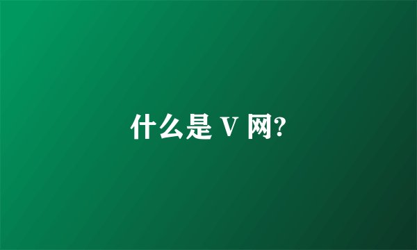 什么是 V 网?