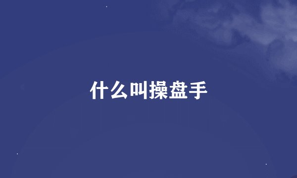 什么叫操盘手