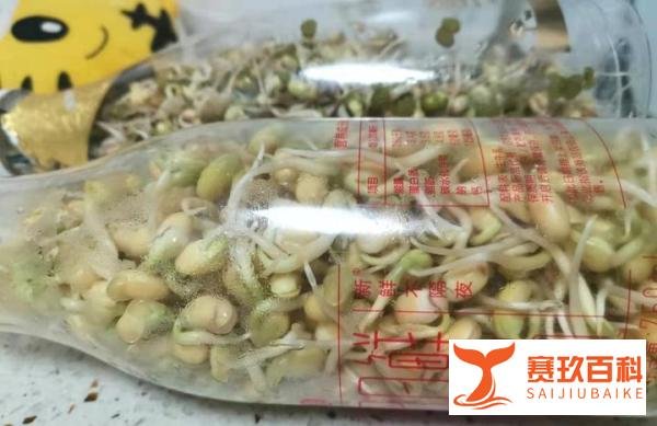 亲历上海疫情 | 囤了很多东西,不慌,没办法看春光比较憋屈