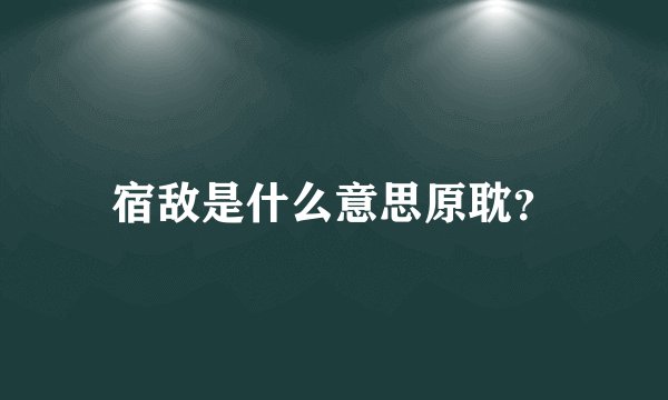 宿敌是什么意思原耽？