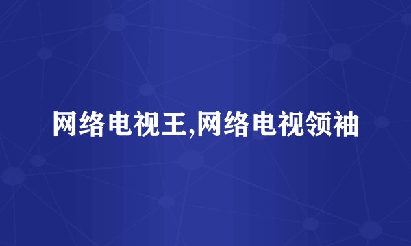 网络电视王,网络电视领袖