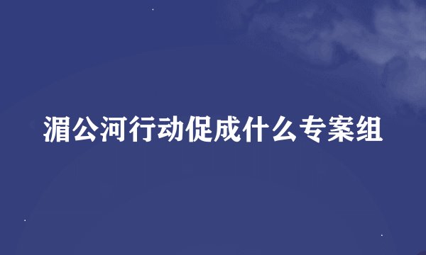 湄公河行动促成什么专案组