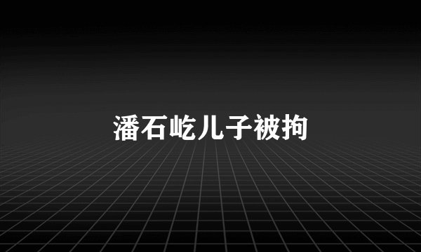 潘石屹儿子被拘