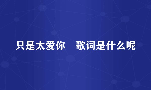 只是太爱你 歌词是什么呢