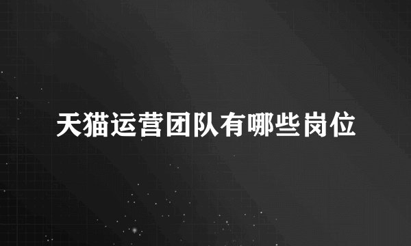 天猫运营团队有哪些岗位