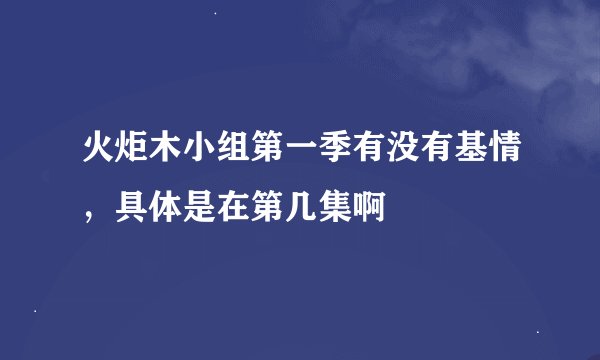 火炬木小组第一季有没有基情，具体是在第几集啊