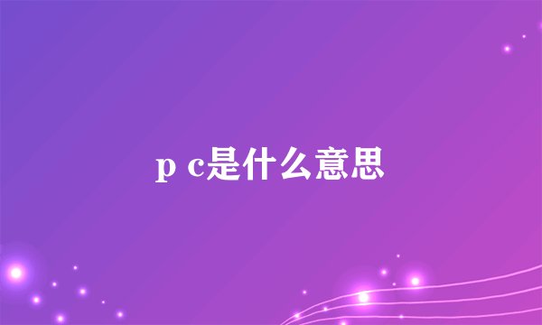 p c是什么意思