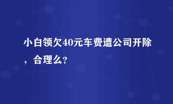 小白领欠40元车费遭公司开除，合理么？