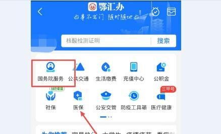 怎么在支付宝查询防疫出行政策