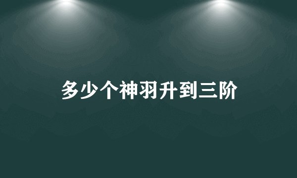多少个神羽升到三阶