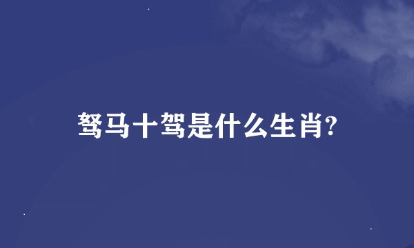 驽马十驾是什么生肖?