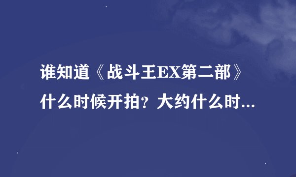 谁知道《战斗王EX第二部》什么时候开拍？大约什么时候拍完？