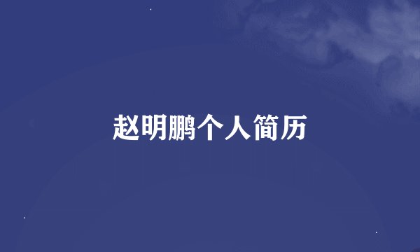 赵明鹏个人简历