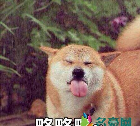 略略略是什么梗什么意思 略略略出处在哪