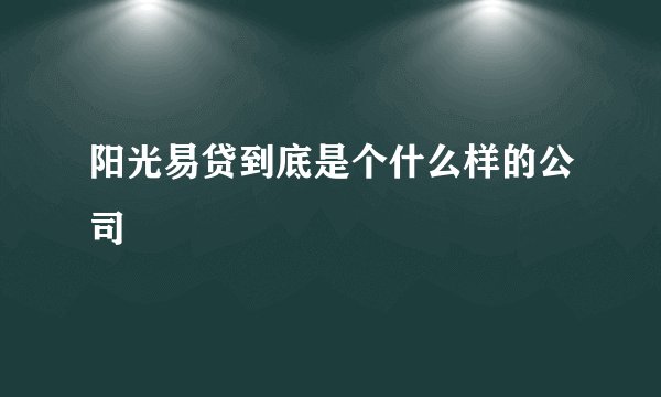 阳光易贷到底是个什么样的公司