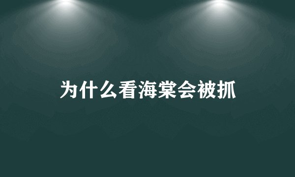 为什么看海棠会被抓