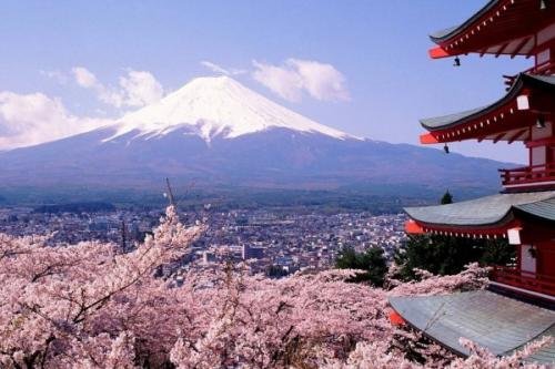 5月赴日旅游仅1700人，什么原因导致游客变少了呢？