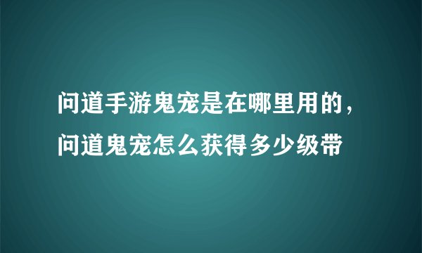 问道手游鬼宠是在哪里用的，问道鬼宠怎么获得多少级带